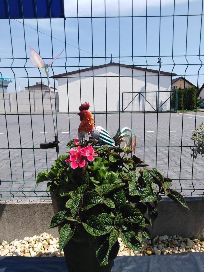Pod Kogucikiem Aparthotel Krzyzanowice Kültér fotó