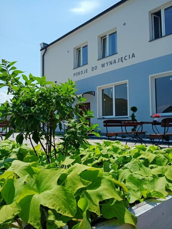 Pod Kogucikiem Aparthotel Krzyzanowice Kültér fotó