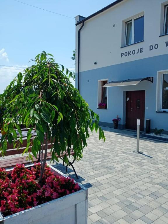 Pod Kogucikiem Aparthotel Krzyzanowice Kültér fotó